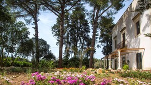 Un bâtiment avec un jardin à l’avant, entouré de grands arbres.