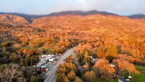 A road through a valley with autumn-colored trees and a mountain in the background.