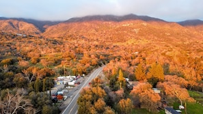 A road through a valley with autumn-colored trees and a mountain in the background.