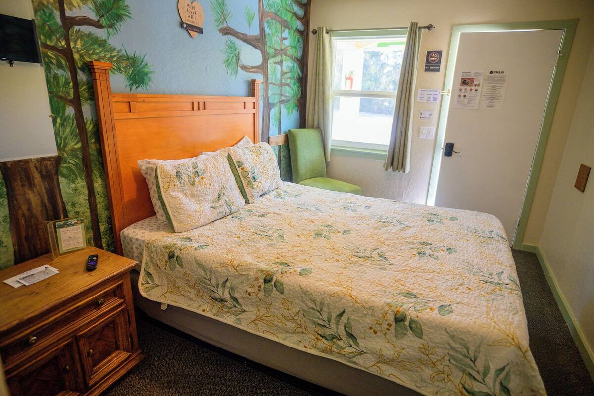 A bedroom with a bed, a nightstand, a chair, and a wall mural.
