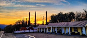 بديكورات فريدة لكل غرفة وطراز فريد لكل وحدة وواي فاي مجانًا