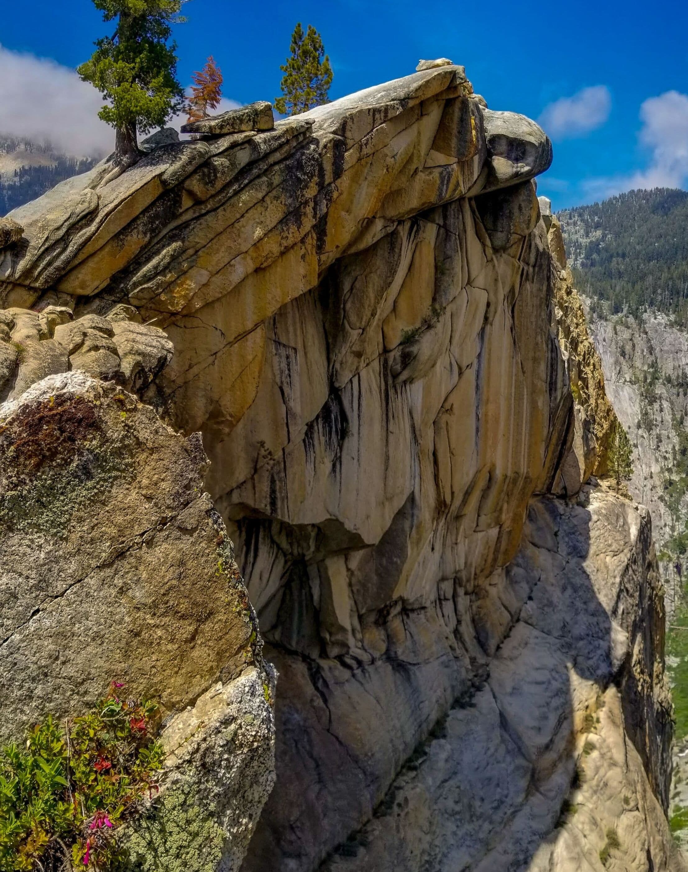 A rock formation with a tree on top, surrounded by greenery and a mountainous landscape.
