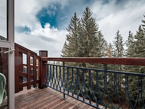 Property grounds - Ski-in duplex for 5, balcony, Wi-Fi, Les Arcs 1800 (Les Arcs 1800)