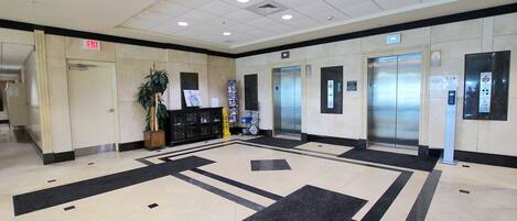A lobby with two elevators, a reception desk, and a plant.