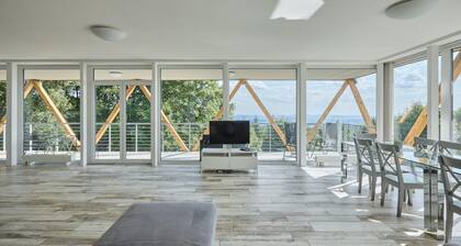 Benecko Lbz170 in Benecko