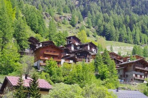 Traditional chalets blend seamlessly into the mountainous landscape, offering a secluded retreat amidst lush greenery and dense forests.