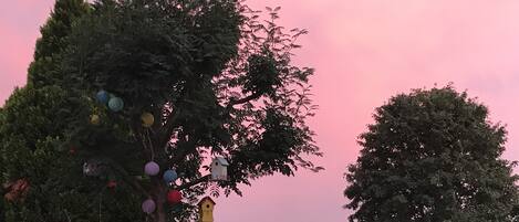 Blick auf den Garten