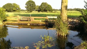 A pond with lily pads and a wooden bench. - Worpsweder Blick (Osterholz-Scharmbeck)