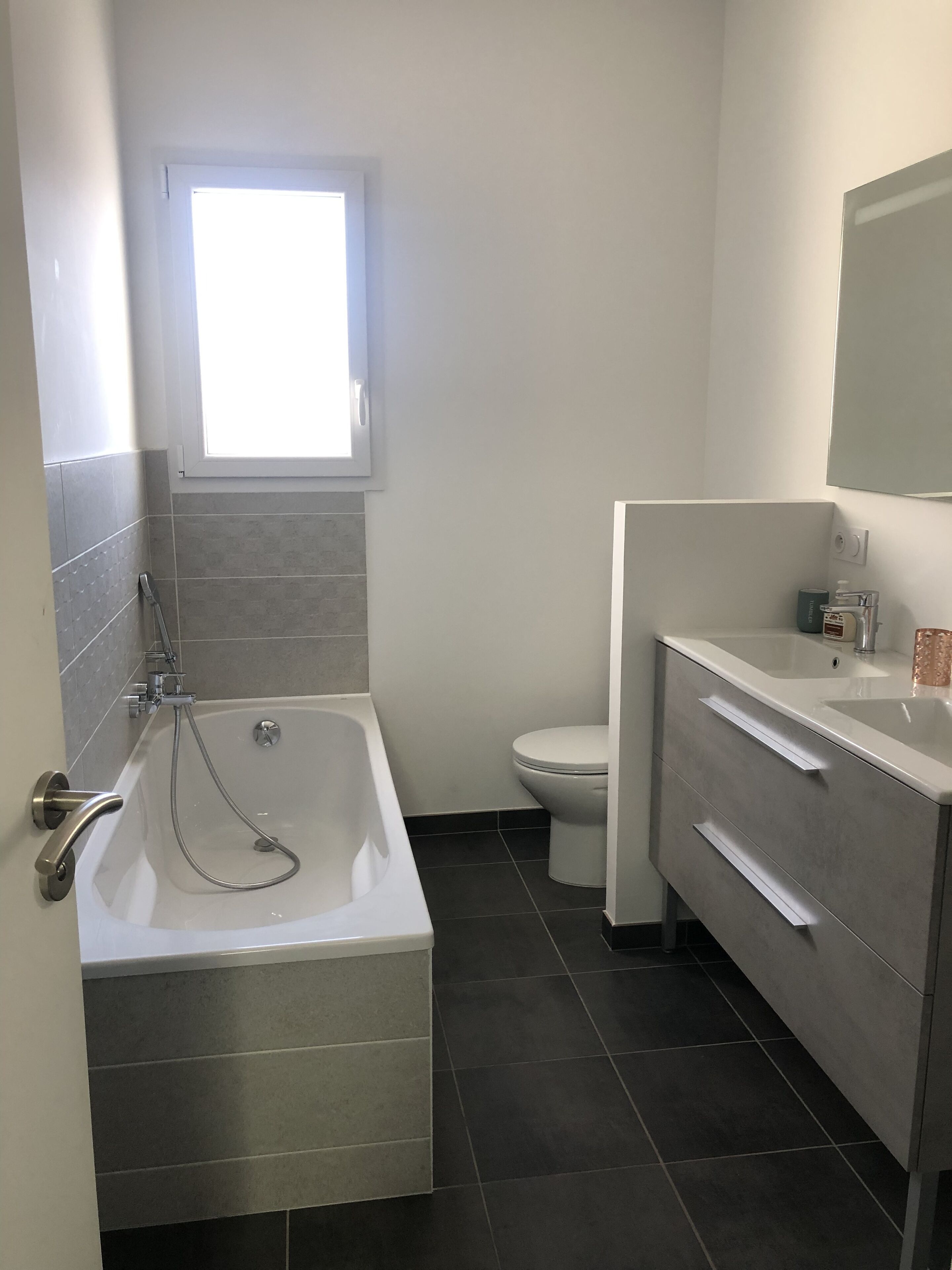 Bathtub, hair dryer, toilet paper