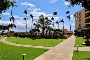 A pathway leading to a building with a clear sky and palm trees.