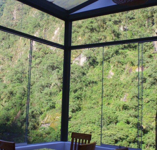 A room with large windows offering a view of a dense forest and rocky terrain.