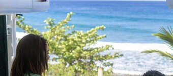Van Del Sol-Discover Puerto Rico in CamperVan Carlos