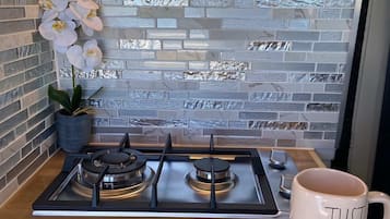 Fridge, stovetop, cookware/dishes/utensils, freezer