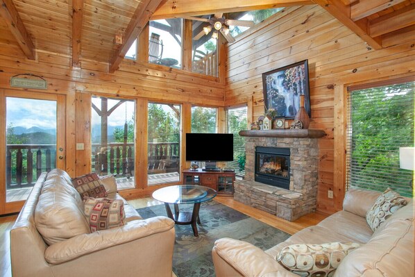 Smart-tv, pejs, videospil, dvd-afspiller