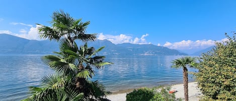 在海滩、沙滩椅