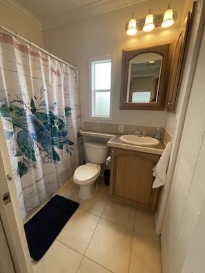 Bathroom features a toilet, sink, and shower curtain with a floral pattern, along with a window and mirror.