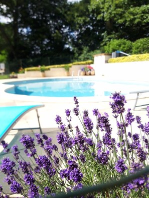 A swimming pool with a view of lavender bushes in the foreground. - ----Breton Village for 20 People---- (LANGOELAN)