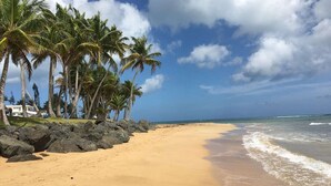 A beach with a sandy shore, palm trees, and a clear sky.