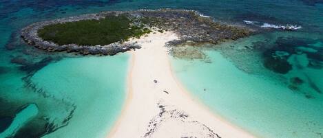 Sun loungers, beach towels