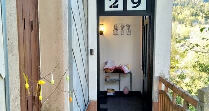 The pink door