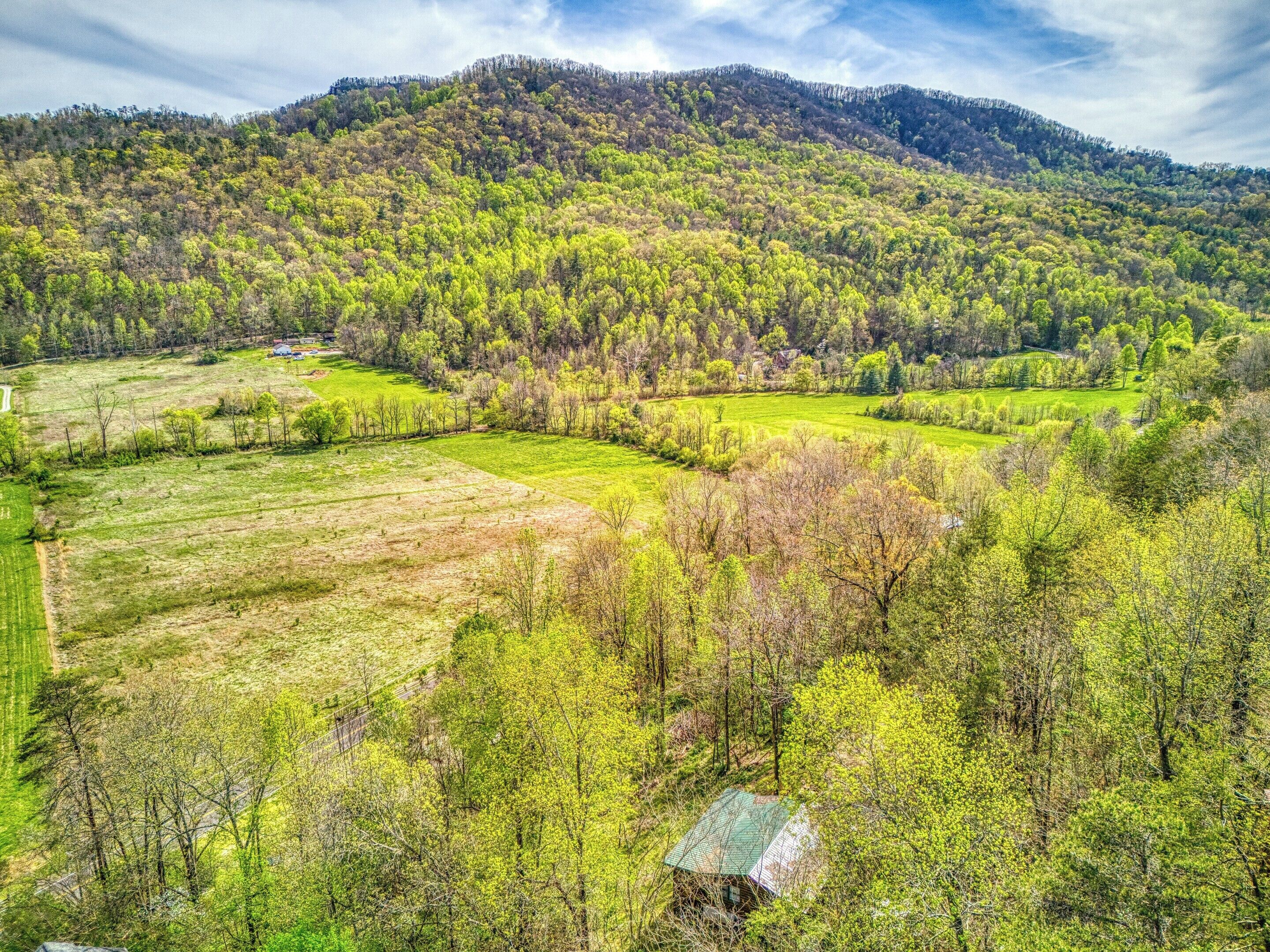 A rural landscape with fields, trees, and a mountain in the background.