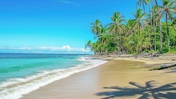 Plage, chaises longues, serviettes de plage