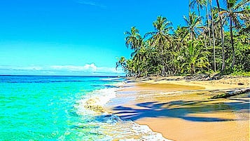 On the beach, sun loungers, beach towels