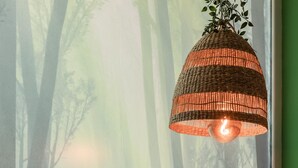 A room with a large window, a hanging wicker lamp, and various potted plants on a table. - Oxygen Hostel (Madrid)