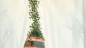 A room with a desk, a hanging plant, a Buddha statue, and a heart-shaped object. - Oxygen Hostel (Madrid)