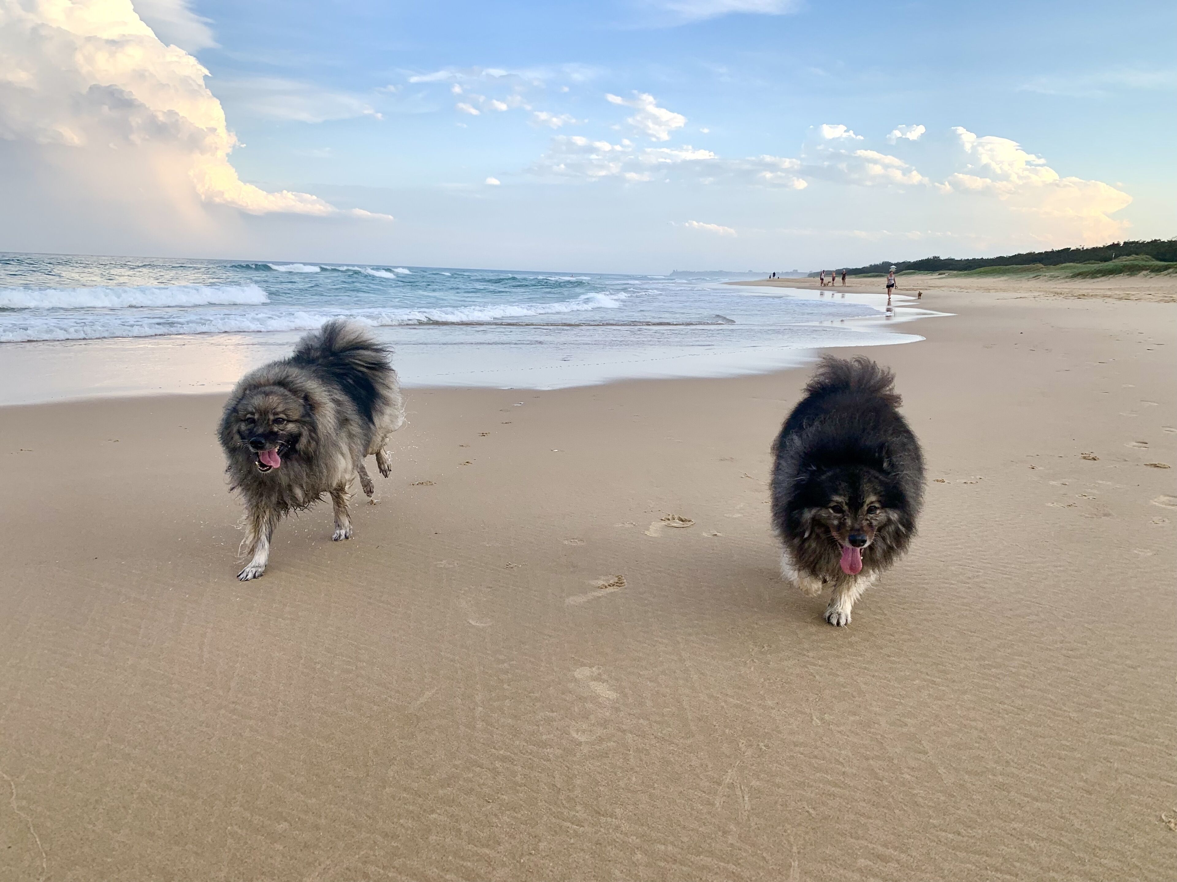 Ubicación cercana a la playa