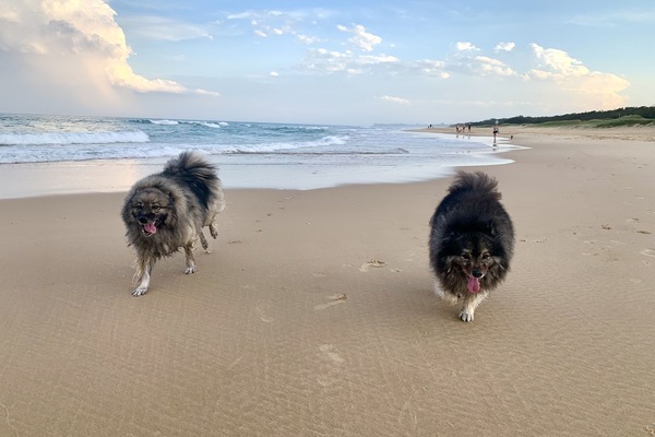 Ubicación cercana a la playa