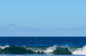 Nära stranden