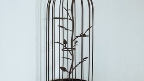 Une cage à oiseaux en métal, ornée de branches et de feuilles, est posée sur un tabouret en bois, adossée à un mur blanc.