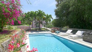 A swimming pool with lounge chairs and a palm tree.