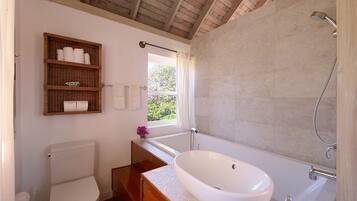 Combined shower/tub, hair dryer, towels, soap