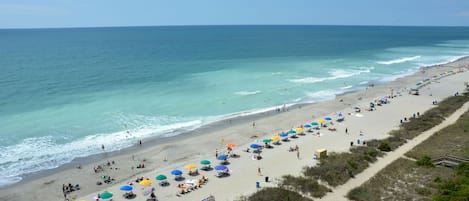 Playa en los alrededores y camastros