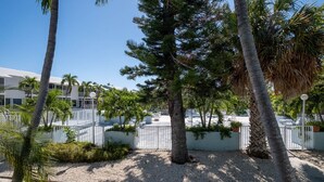 A resort with a pool, palm trees, and a white building with balconies. - Overlooking Pool Free Golf Cart Free Kayaks Pickleball (Key Largo)