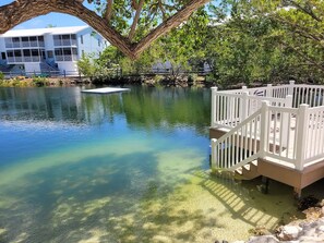Property grounds - Overlooking Pool Free Golf Cart Free Kayaks Pickleball (Key Largo)