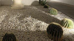 Een modern interieur met een minimalistisch ontwerp, met een witte muur waarop de schaduw van een sculptuur valt, een witte sokkel en een cactustuin met witte kiezelstenen.