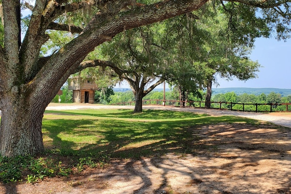 Parco della struttura
