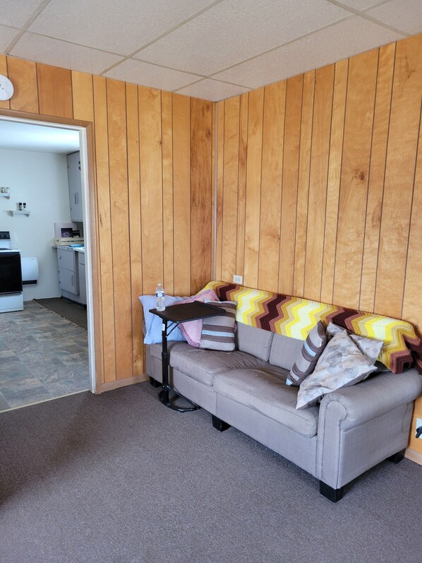 A living room with a grey sofa, a small black table, and a wooden wall. - Private home in beautiful Northeast Washington (Ione)