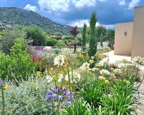 Terrein van de accommodatie