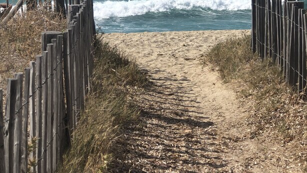 Ein sandiger Küstenpfad führt zum Meer, begrenzt von Holzzäunen.