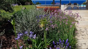 Ein Garten mit violetten Blumen und Blick auf das Meer.