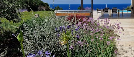 A garden with purple flowers and a view of the sea.