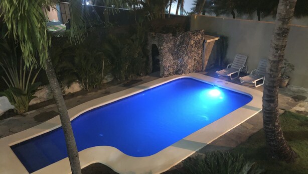 A rectangular swimming pool with a blue interior, surrounded by a stone wall and palm trees.