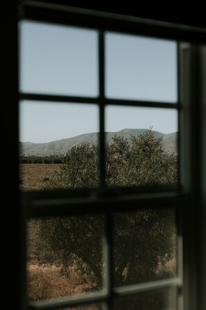 Vista desde la propiedad