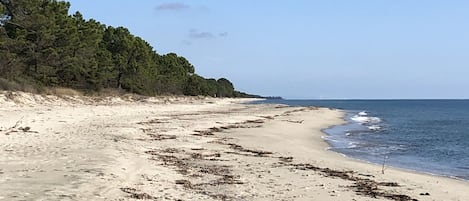 In Strandnähe