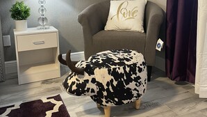 A living room with a sofa, a decorative pillow, a small table with a plant, and a patterned rug. - ☀️WOW☀️ UPDATED with HEATED POOL & HOT TUB HOME 5 MIN TO BEACH 3BD 2BA 2 KING BEDS (Seminole)