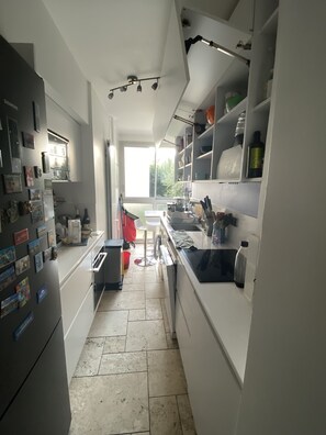 Kühlschrank, Mikrowelle, Ofen, Herdplatte